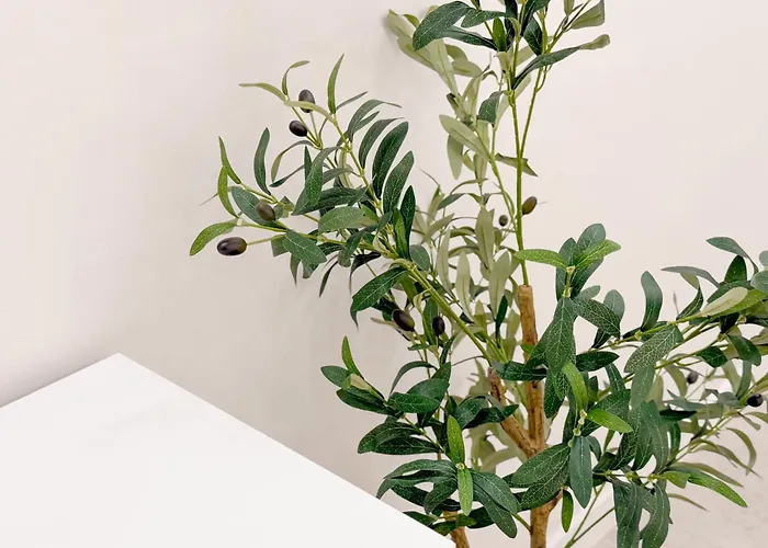 5min To Hapjeong Stn Cozy 2br 2beds